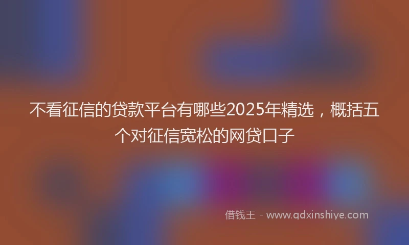 不看征信的贷款平台有哪些2025年精选，概括五个对征信宽松的网贷口子