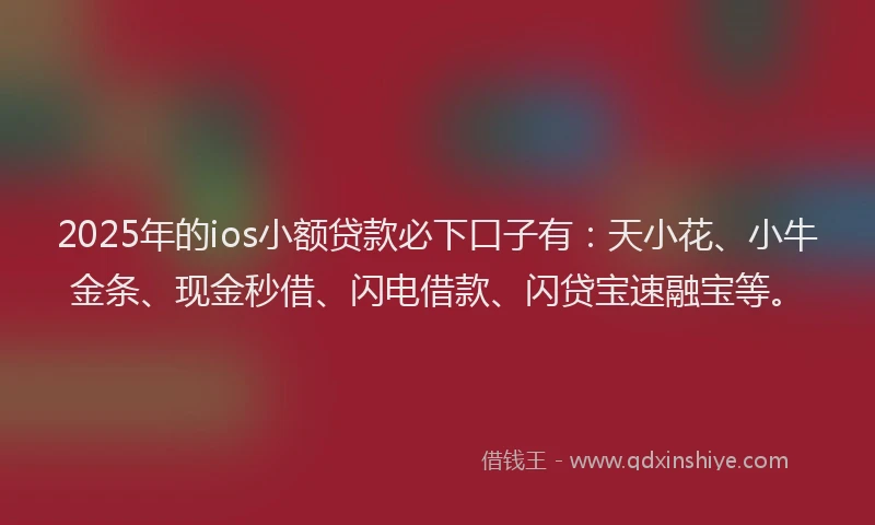 2025年的ios小额贷款必下口子有：天小花、小牛金条、现金秒借、闪电借款、闪贷宝速融宝等。