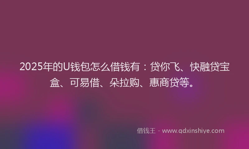 2025年的U钱包怎么借钱有：贷你飞、快融贷宝盒、可易借、朵拉购、惠商贷等。