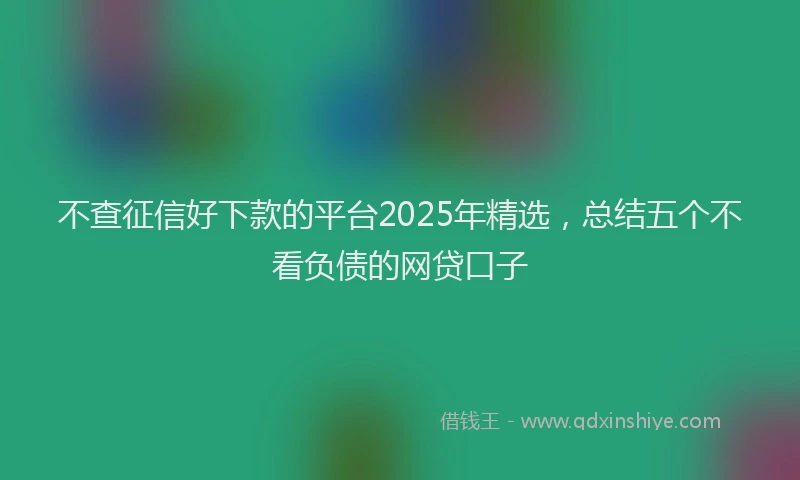 不查征信好下款的平台2025年精选，总结五个不看负债的网贷口子