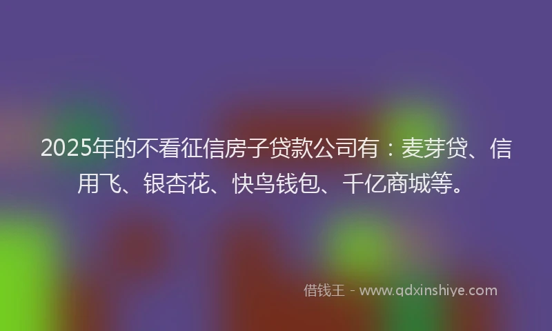 2025年的不看征信房子贷款公司有：麦芽贷、信用飞、银杏花、快鸟钱包、千亿商城等。
