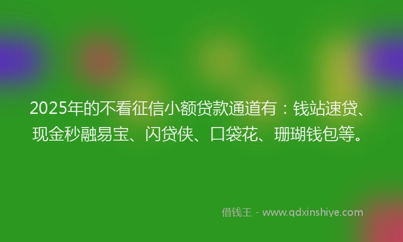 2025年的不看征信小额贷款通道有：钱站速贷、现金秒融易宝、闪贷侠、口袋花、珊瑚钱包等。