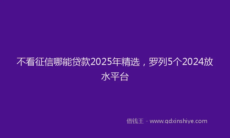不看征信哪能贷款2025年精选，罗列5个2024放水平台