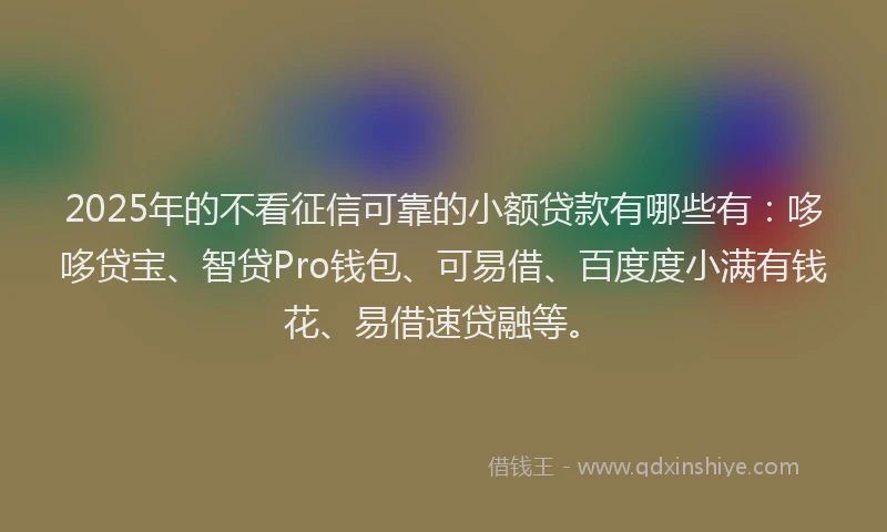 2025年的不看征信可靠的小额贷款有哪些有：哆哆贷宝、智贷Pro钱包、可易借、百度度小满有钱花、易借速贷融等。