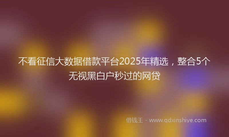不看征信大数据借款平台2025年精选，整合5个无视黑白户秒过的网贷