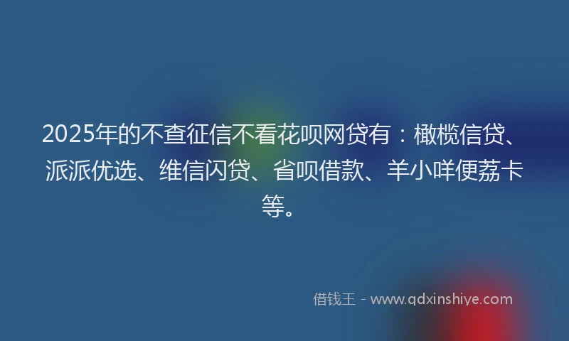 2025年的不查征信不看花呗网贷有：橄榄信贷、派派优选、维信闪贷、省呗借款、羊小咩便荔卡等。