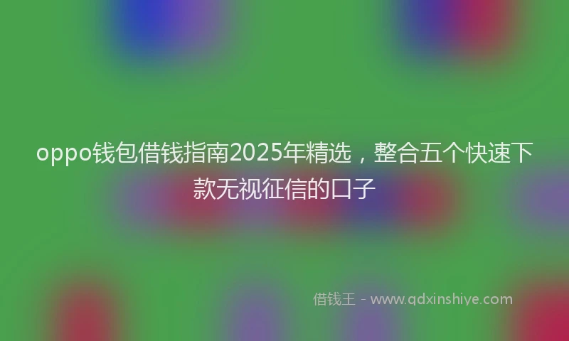 oppo钱包借钱指南2025年精选，整合五个快速下款无视征信的口子
