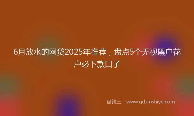 6月放水的网贷2025年推荐，盘点5个无视黑户花户必下款口子