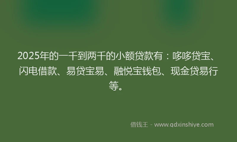 2025年的一千到两千的小额贷款有：哆哆贷宝、闪电借款、易贷宝易、融悦宝钱包、现金贷易行等。
