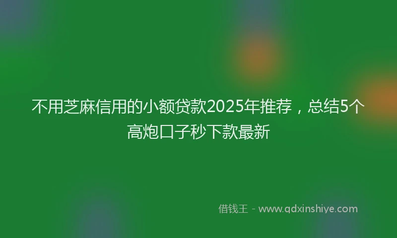 不用芝麻信用的小额贷款2025年推荐，总结5个高炮口子秒下款最新