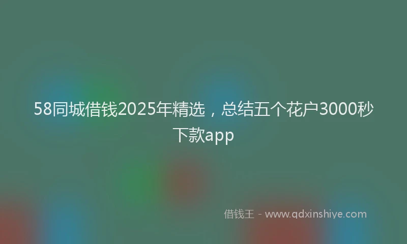 58同城借钱2025年精选，总结五个花户3000秒下款app