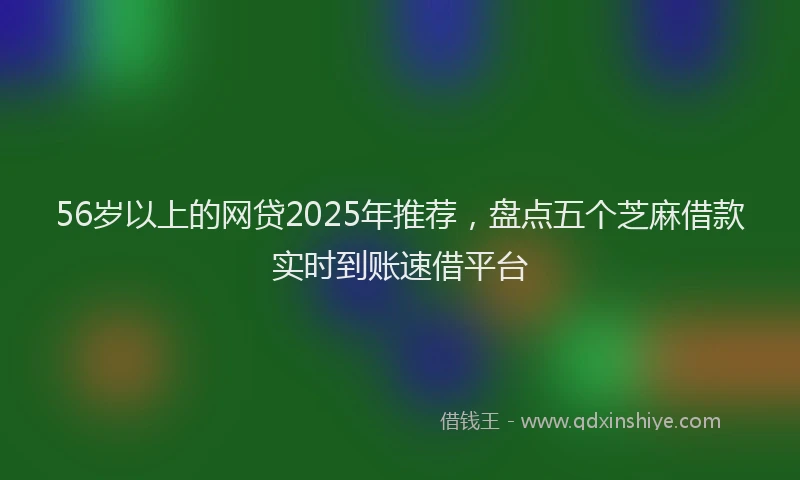 56岁以上的网贷2025年推荐，盘点五个芝麻借款实时到账速借平台