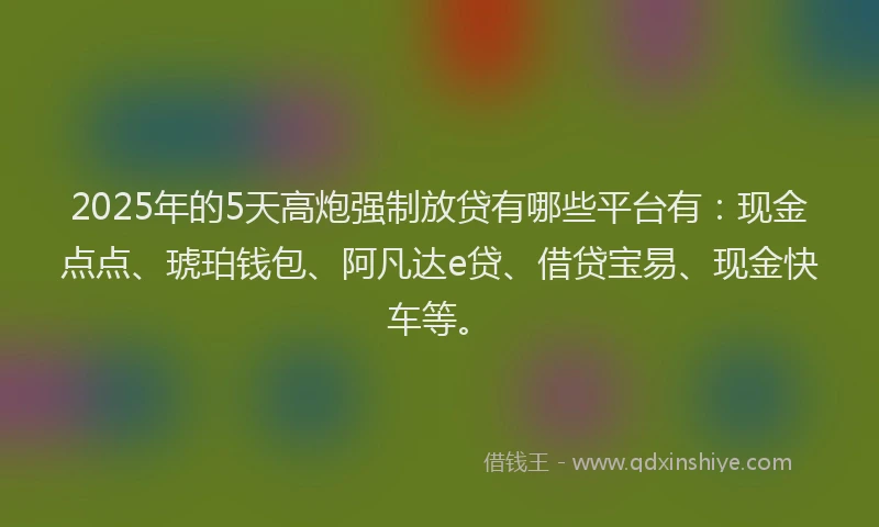 2025年的5天高炮强制放贷有哪些平台有：现金点点、琥珀钱包、阿凡达e贷、借贷宝易、现金快车等。