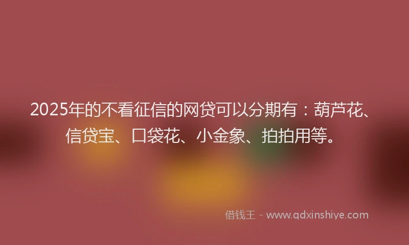 2025年的不看征信的网贷可以分期有：葫芦花、信贷宝、口袋花、小金象、拍拍用等。