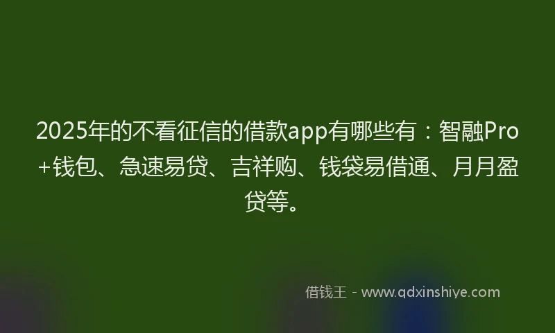 2025年的不看征信的借款app有哪些有：智融Pro+钱包、急速易贷、吉祥购、钱袋易借通、月月盈贷等。