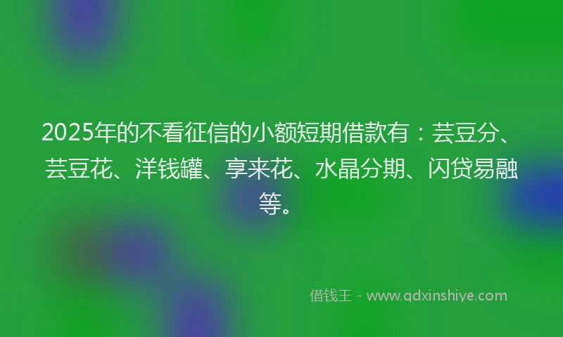 2025年的不看征信的小额短期借款有：芸豆分、芸豆花、洋钱罐、享来花、水晶分期、闪贷易融等。