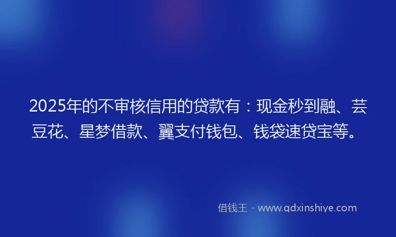 2025年的不审核信用的贷款有：现金秒到融、芸豆花、星梦借款、翼支付钱包、钱袋速贷宝等。