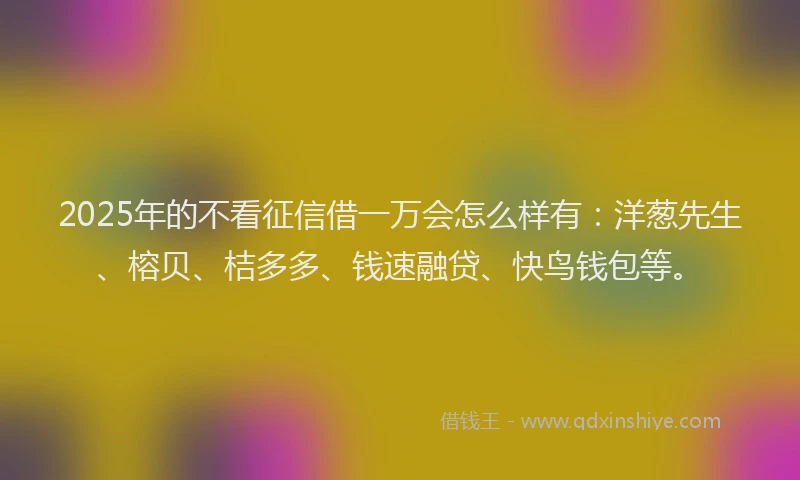 2025年的不看征信借一万会怎么样有：洋葱先生、榕贝、桔多多、钱速融贷、快鸟钱包等。