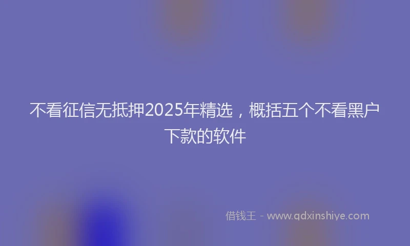 不看征信无抵押2025年精选，概括五个不看黑户下款的软件