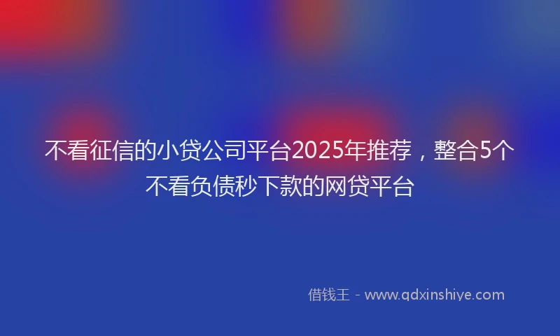不看征信的小贷公司平台2025年推荐，整合5个不看负债秒下款的网贷平台