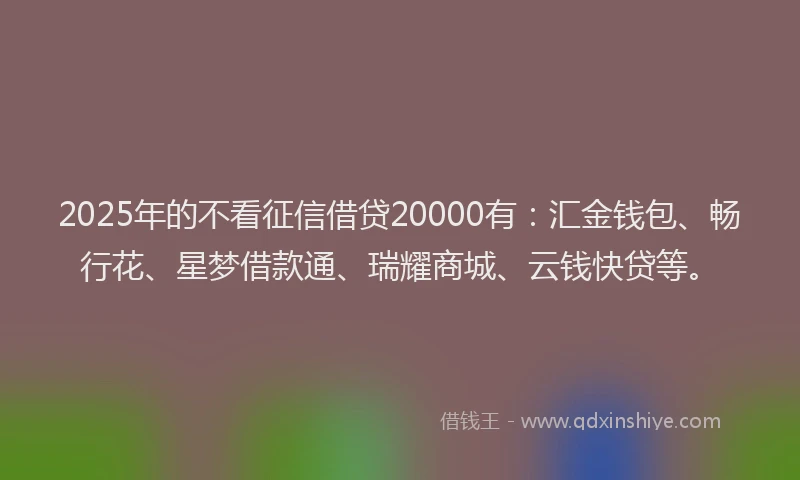 2025年的不看征信借贷20000有：汇金钱包、畅行花、星梦借款通、瑞耀商城、云钱快贷等。