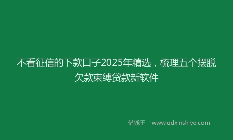 不看征信的下款口子2025年精选，梳理五个摆脱欠款束缚贷款新软件