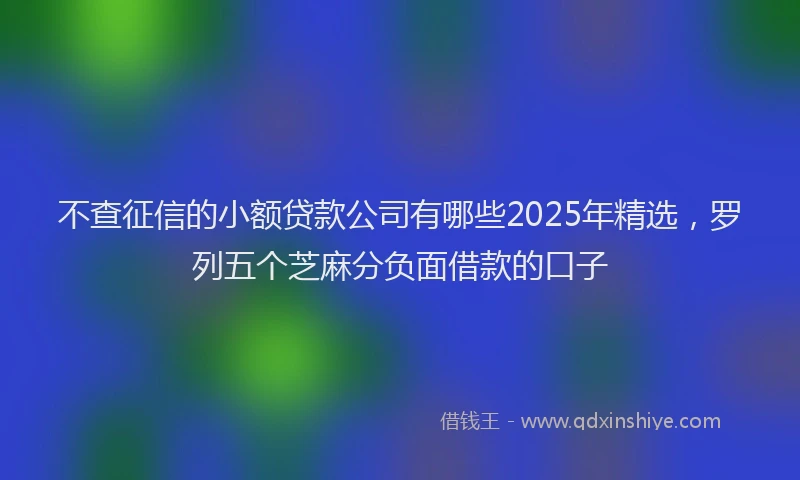 不查征信的小额贷款公司有哪些2025年精选，罗列五个芝麻分负面借款的口子