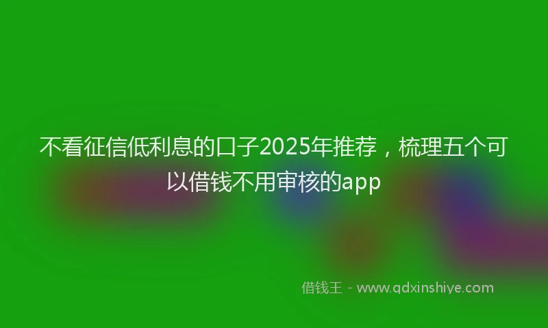 不看征信低利息的口子2025年推荐，梳理五个可以借钱不用审核的app