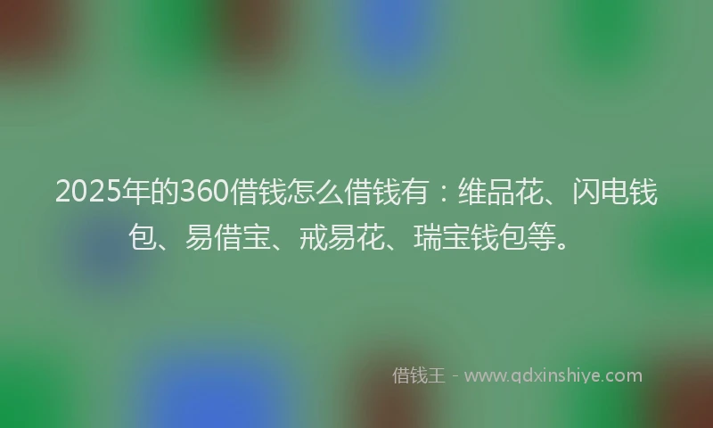 2025年的360借钱怎么借钱有：维品花、闪电钱包、易借宝、戒易花、瑞宝钱包等。