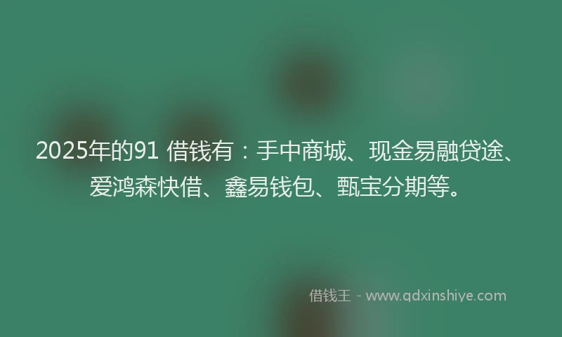 2025年的91 借钱有：手中商城、现金易融贷途、爱鸿森快借、鑫易钱包、甄宝分期等。