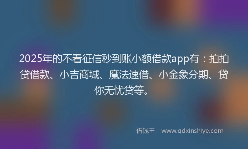 2025年的不看征信秒到账小额借款app有：拍拍贷借款、小吉商城、魔法速借、小金象分期、贷你无忧贷等。