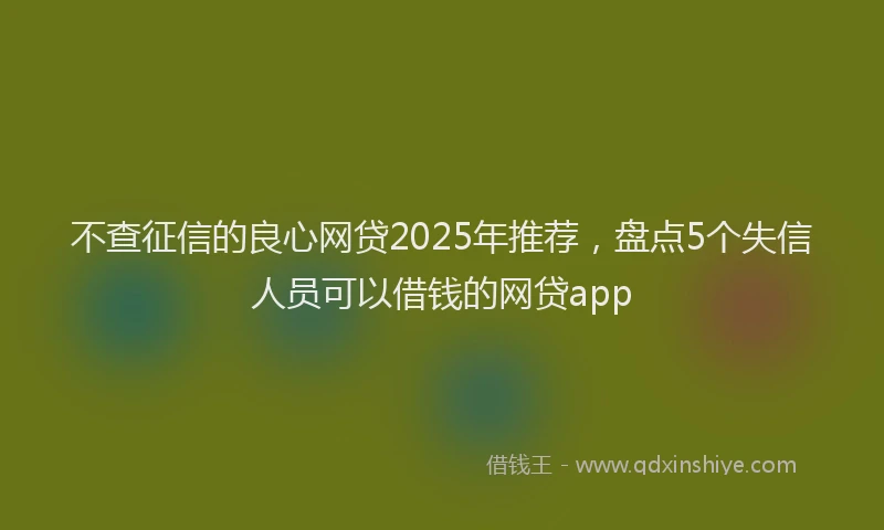 不查征信的良心网贷2025年推荐，盘点5个失信人员可以借钱的网贷app