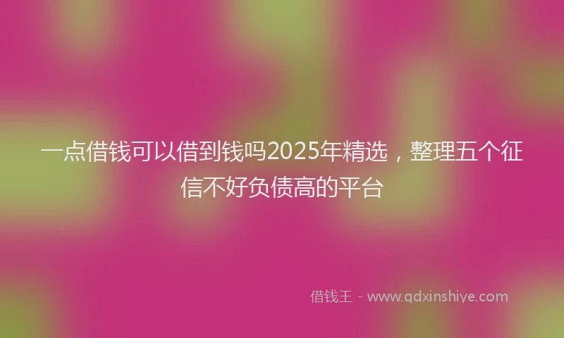 一点借钱可以借到钱吗2025年精选，整理五个征信不好负债高的平台