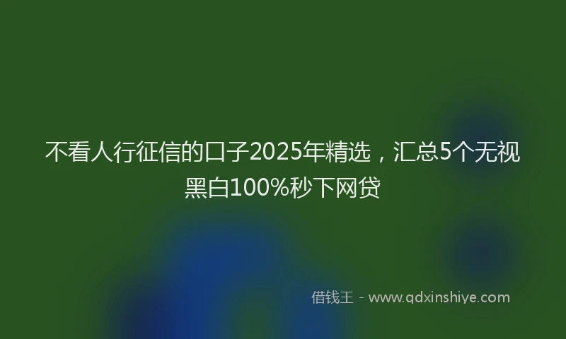 不看人行征信的口子2025年精选，汇总5个无视黑白100%秒下网贷