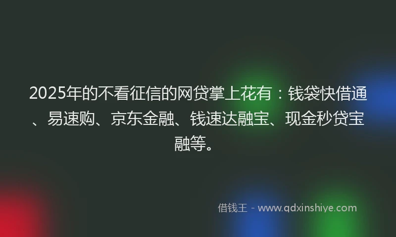 2025年的不看征信的网贷掌上花有：钱袋快借通、易速购、京东金融、钱速达融宝、现金秒贷宝融等。