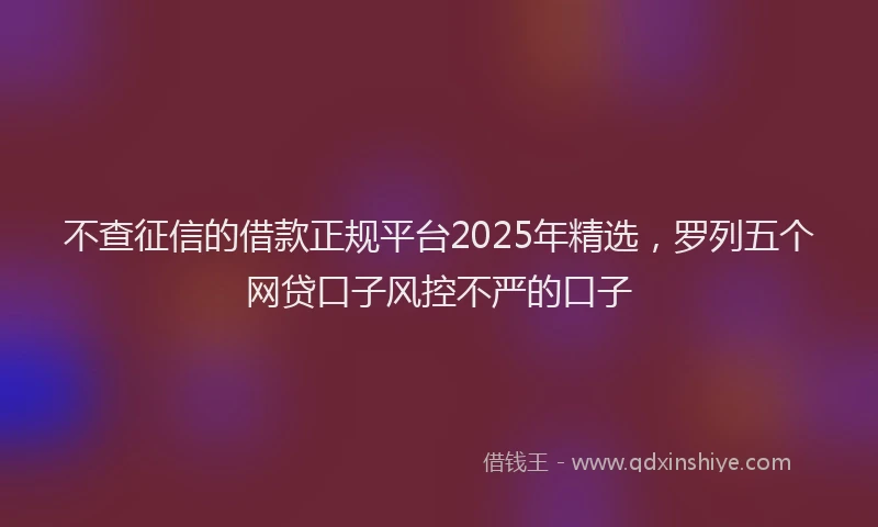 不查征信的借款正规平台2025年精选，罗列五个网贷口子风控不严的口子