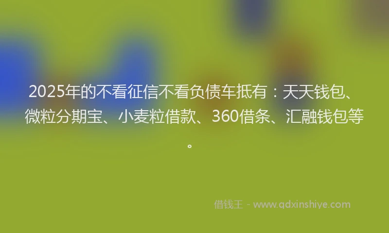 2025年的不看征信不看负债车抵有：天天钱包、微粒分期宝、小麦粒借款、360借条、汇融钱包等。