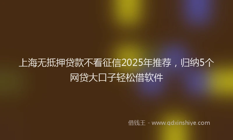 上海无抵押贷款不看征信2025年推荐，归纳5个网贷大口子轻松借软件