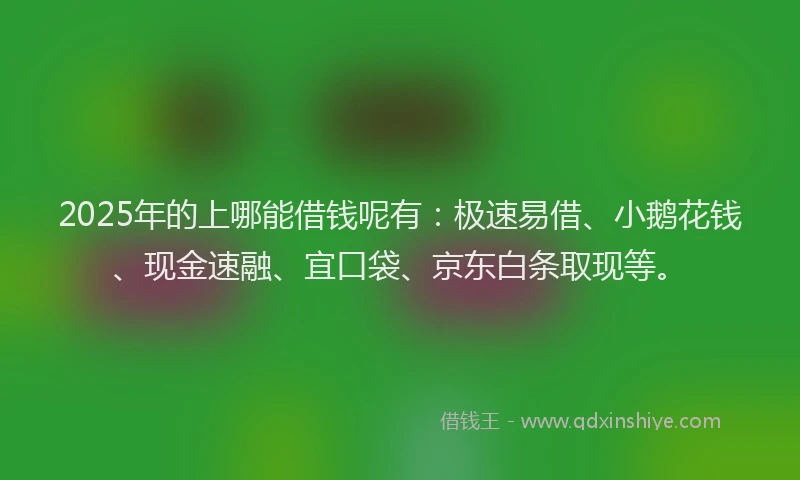 2025年的上哪能借钱呢有：极速易借、小鹅花钱、现金速融、宜口袋、京东白条取现等。