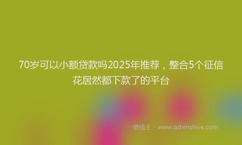 70岁可以小额贷款吗2025年推荐，整合5个征信花居然都下款了的平台
