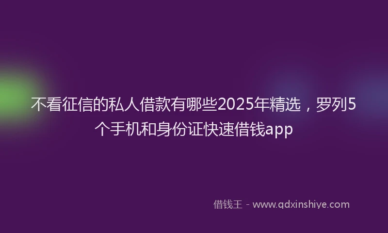 不看征信的私人借款有哪些2025年精选，罗列5个手机和身份证快速借钱app