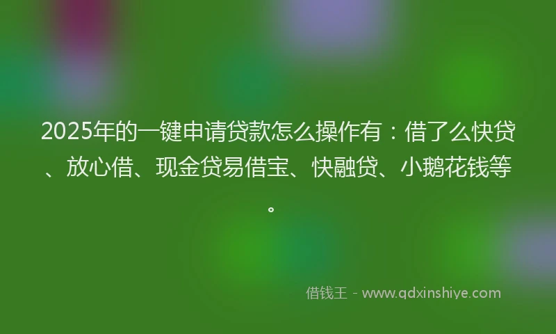 2025年的一键申请贷款怎么操作有：借了么快贷、放心借、现金贷易借宝、快融贷、小鹅花钱等。