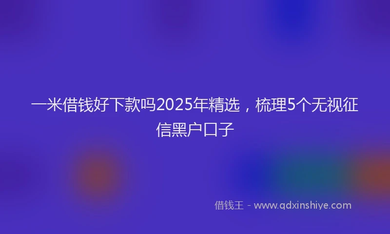 一米借钱好下款吗2025年精选，梳理5个无视征信黑户口子