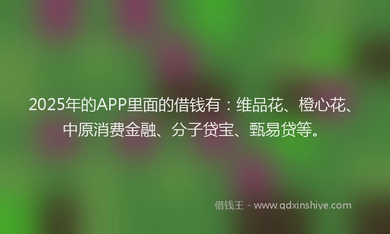 2025年的APP里面的借钱有：维品花、橙心花、中原消费金融、分子贷宝、甄易贷等。
