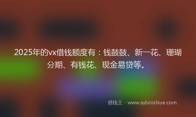 2025年的vx借钱额度有：钱鼓鼓、新一花、珊瑚分期、有钱花、现金易贷等。