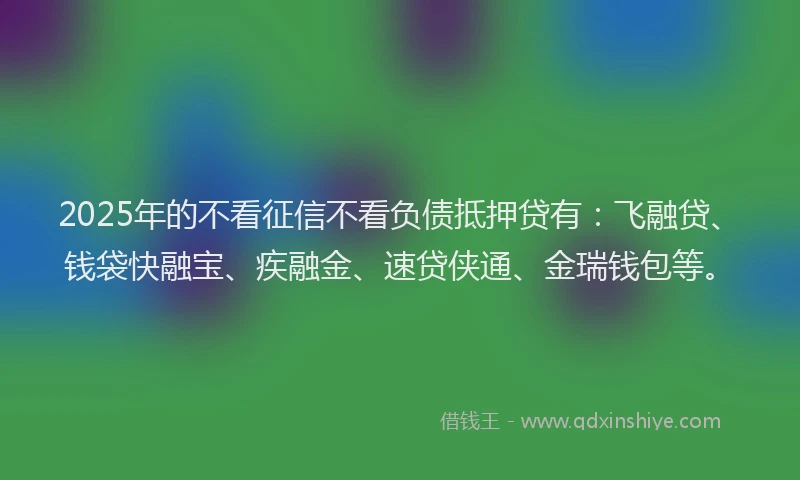 2025年的不看征信不看负债抵押贷有：飞融贷、钱袋快融宝、疾融金、速贷侠通、金瑞钱包等。