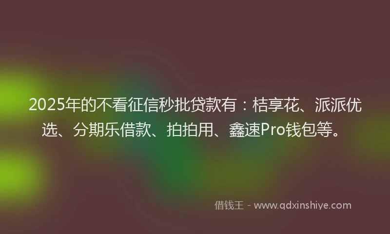 2025年的不看征信秒批贷款有：桔享花、派派优选、分期乐借款、拍拍用、鑫速Pro钱包等。