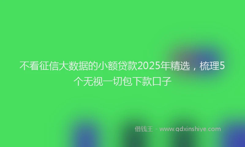 不看征信大数据的小额贷款2025年精选，梳理5个无视一切包下款口子
