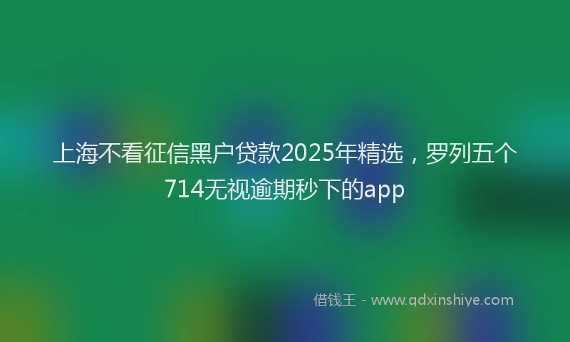 上海不看征信黑户贷款2025年精选，罗列五个714无视逾期秒下的app
