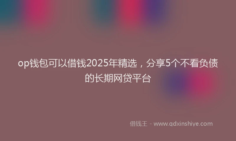 op钱包可以借钱2025年精选，分享5个不看负债的长期网贷平台